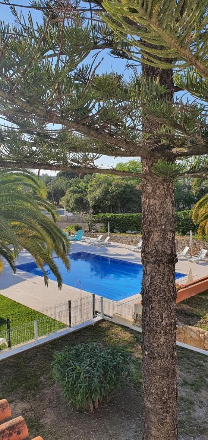 Villa Belinha - Guest House 쿼테이라 외부 사진